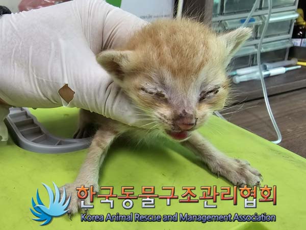 종료(자연사) 한국…